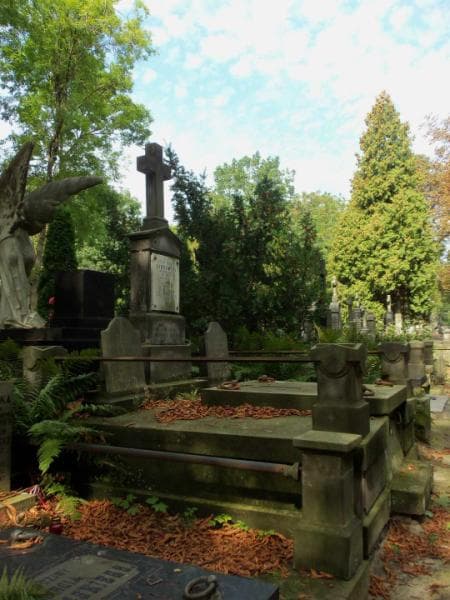 Zdjęcie grobu Stanisław Dąbrowski (1)