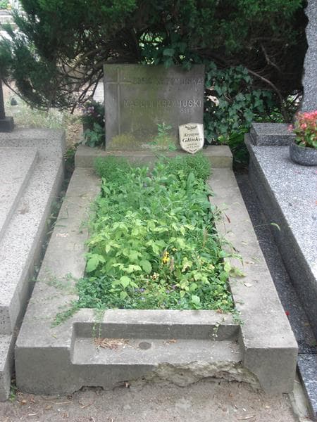 Zdjęcie grobu: Zofia Krzymuska