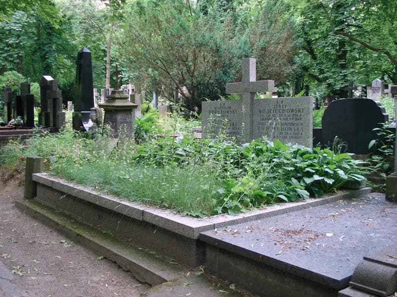 Zdjęcie grobu: Władysław Deputowski