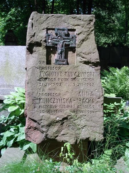 Zdjęcie grobu Anna Kunczyńska-Iracka (2)