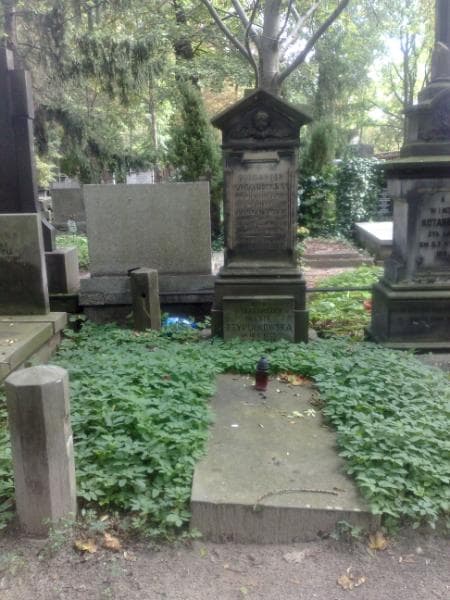 Zdjęcie grobu Edmund Oksza - Orzechowski (1)