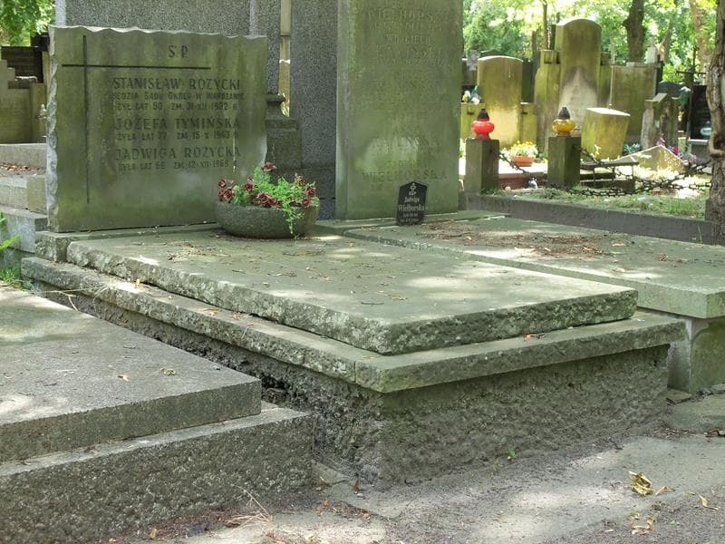 Zdjęcie grobu Józefa Tymińska (1)