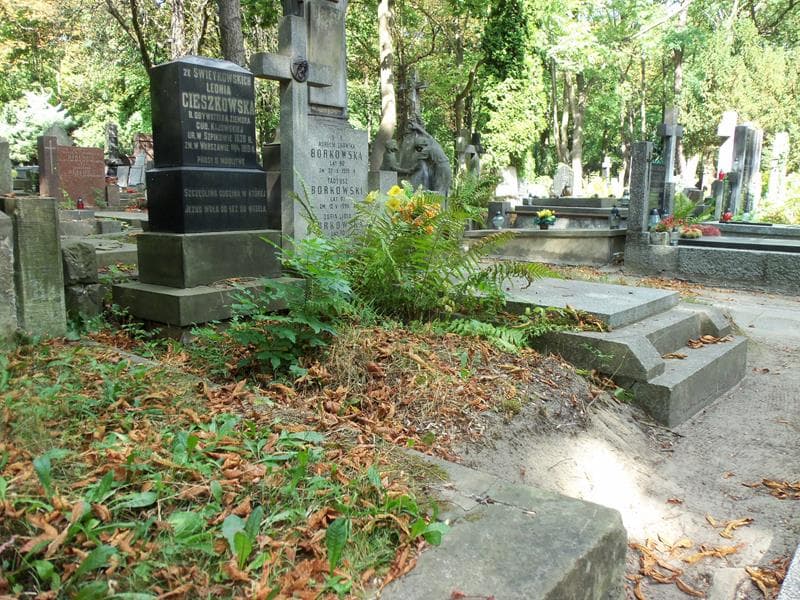 Zdjęcie grobu Leonia Cieszkowska (1)
