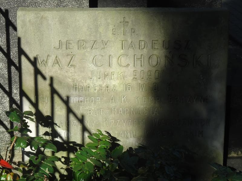 Zdjęcie grobu Nelly Cichońska (2)