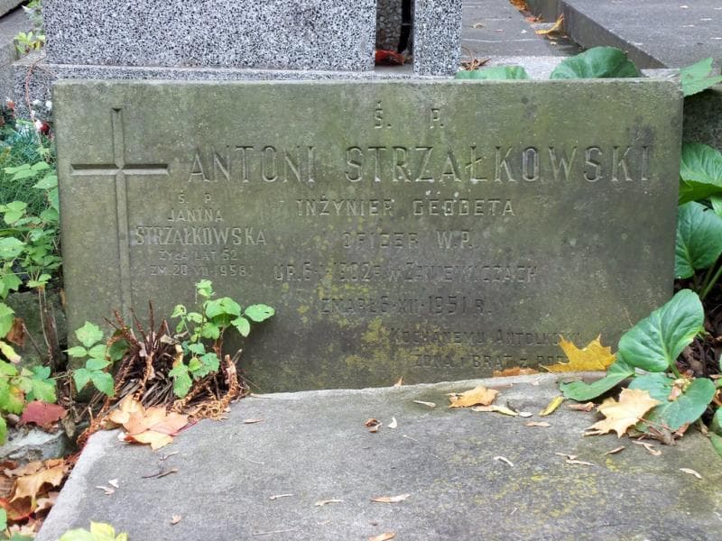 Zdjęcie grobu Antoni Strzałkowski (2)