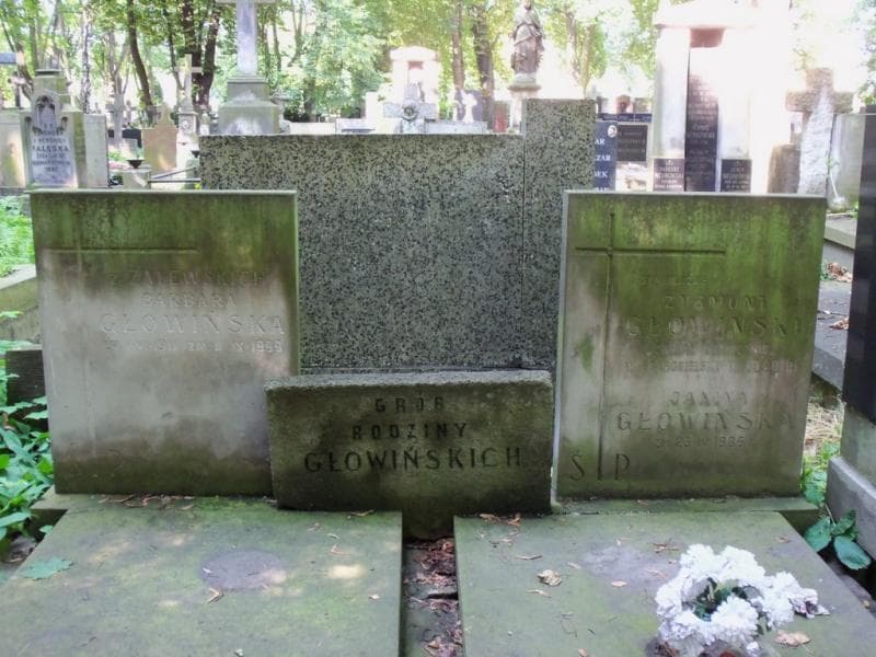Zdjęcie grobu Barbara Głowińska (2)