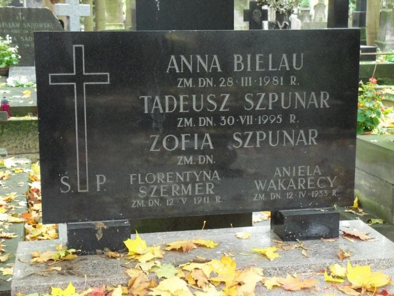 Zdjęcie grobu Aniela Wakarecy (2)