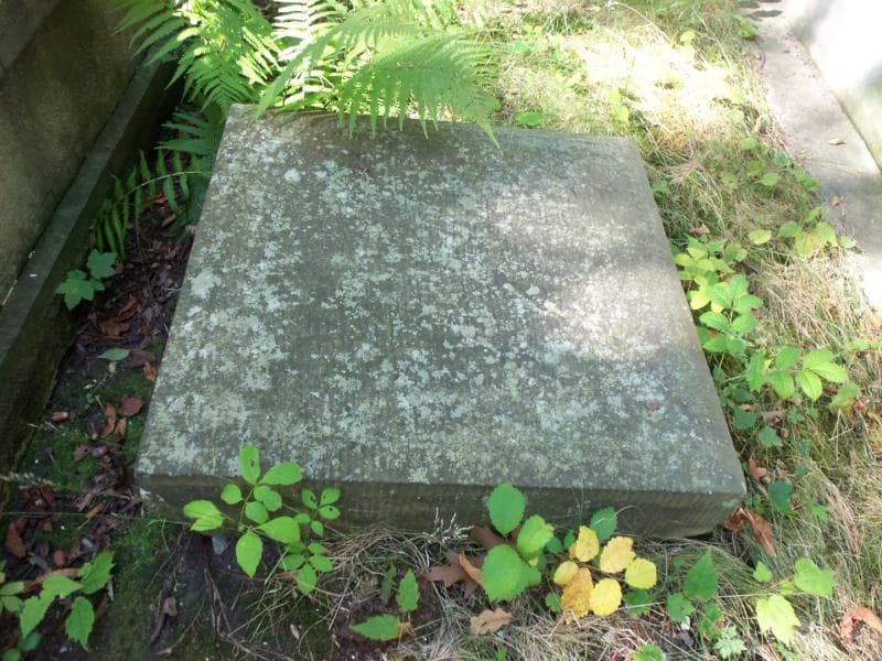 Zdjęcie grobu Józef Wołowski (2)