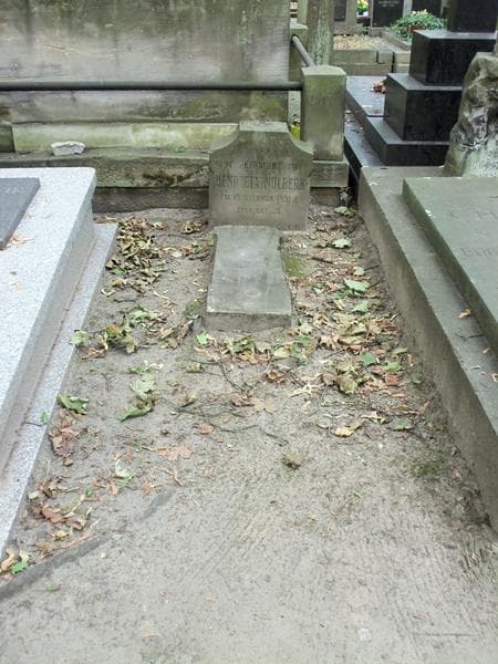 Zdjęcie grobu Henryeta Wolbeck (1)