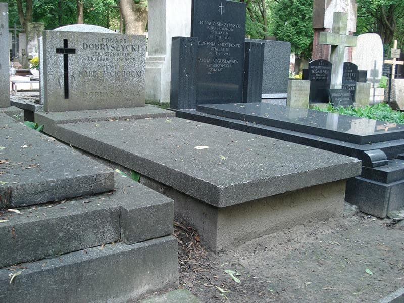Zdjęcie grobu Janina Dobryszycka (1)