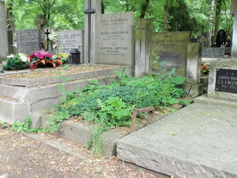 Zdjęcie grobu Anna Andlauerowa (1)
