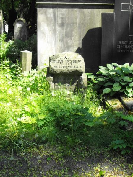 Zdjęcie grobu: Franciszek Trzciński