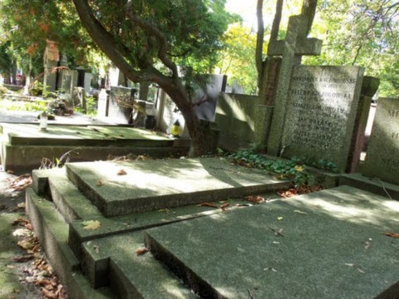 Zdjęcie grobu Jan Bałazy (1)
