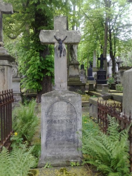 Zdjęcie grobu Feliks Borowski (2)