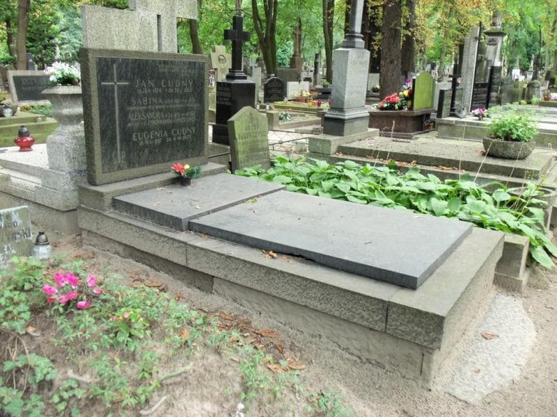 Zdjęcie grobu Aleksandra Cudny (1)