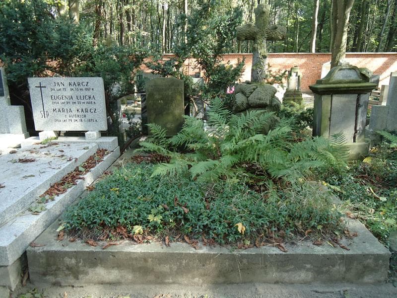 Zdjęcie grobu: Feliks Jaskólski