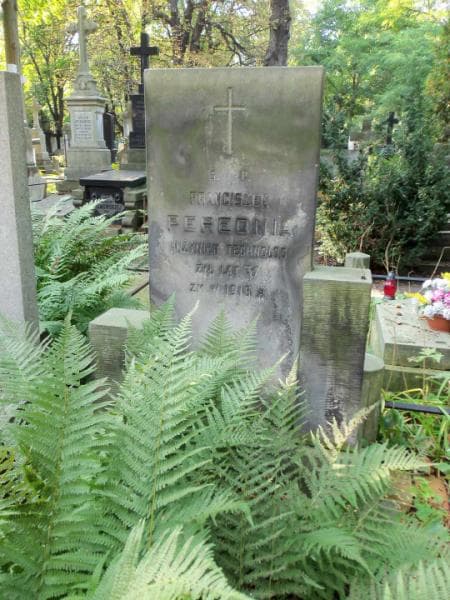 Zdjęcie grobu Franciszek Perednia (2)