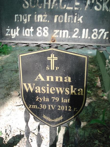 Zdjęcie grobu Anna Wasiewska (2)