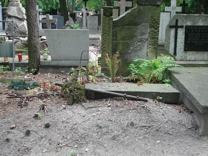 Zdjęcie grobu: Konstanty Brzozowski