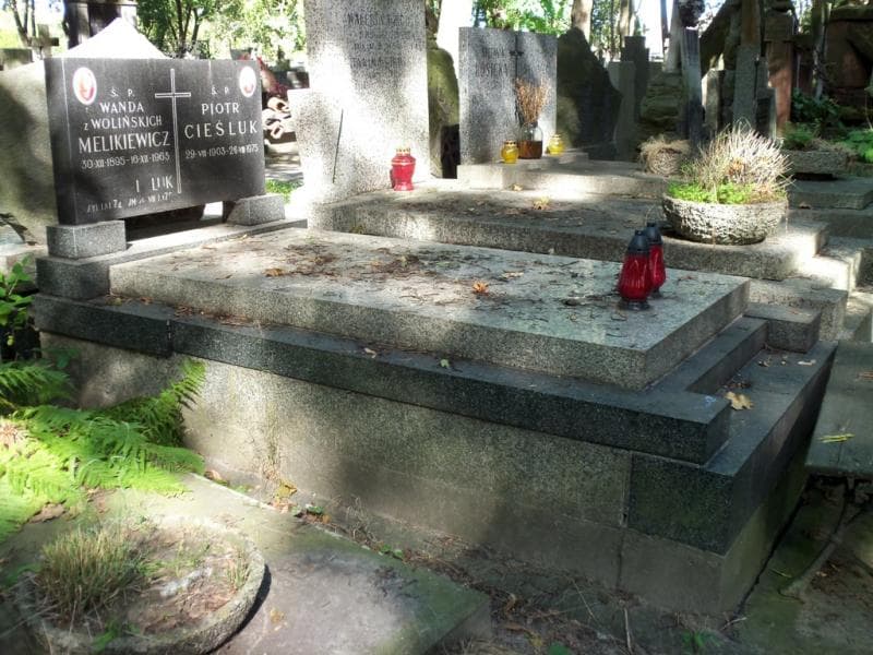 Zdjęcie grobu Piotr Cieśluk (1)