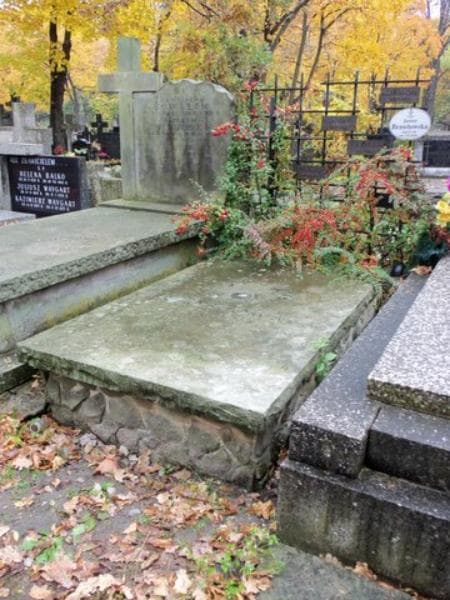 Zdjęcie grobu Janina Brzostowska (1)