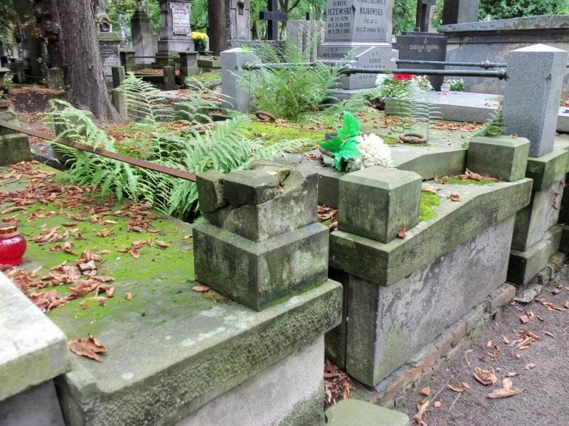 Zdjęcie grobu Irena Krzyżanowska (1)