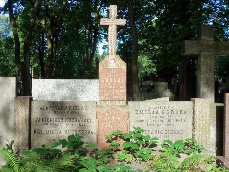 Zdjęcie grobu Emilja Górska (2)