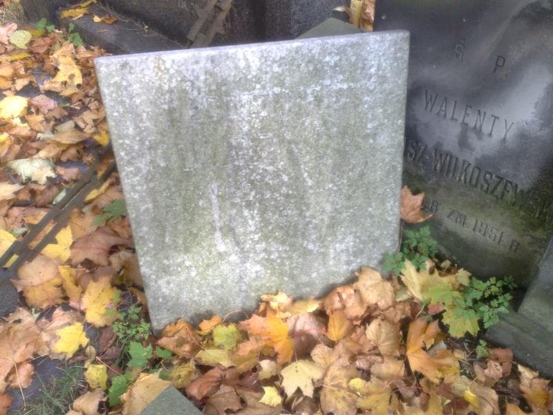 Zdjęcie grobu Włodzimierz Kulczycki (2)