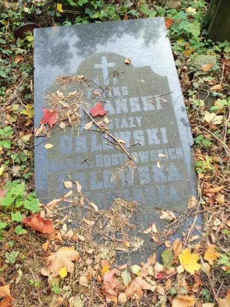 Zdjęcie grobu Feliks Domański (2)