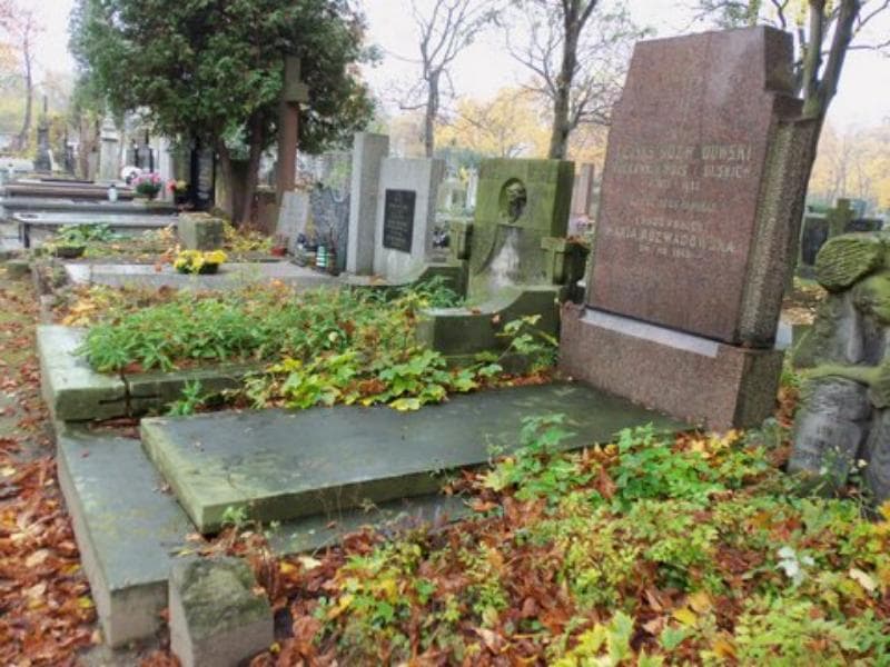 Zdjęcie grobu Feliks Rozwadowski (1)