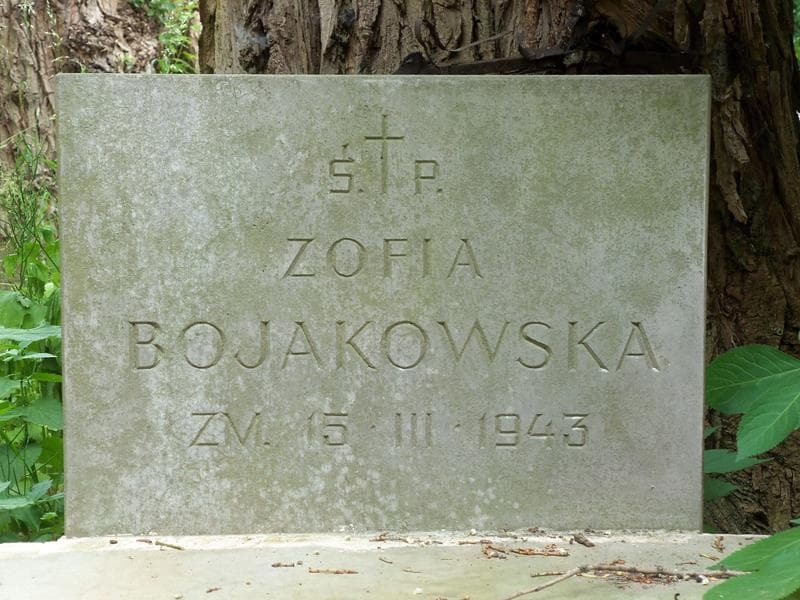 Zdjęcie grobu Zofia Bojakowska (2)