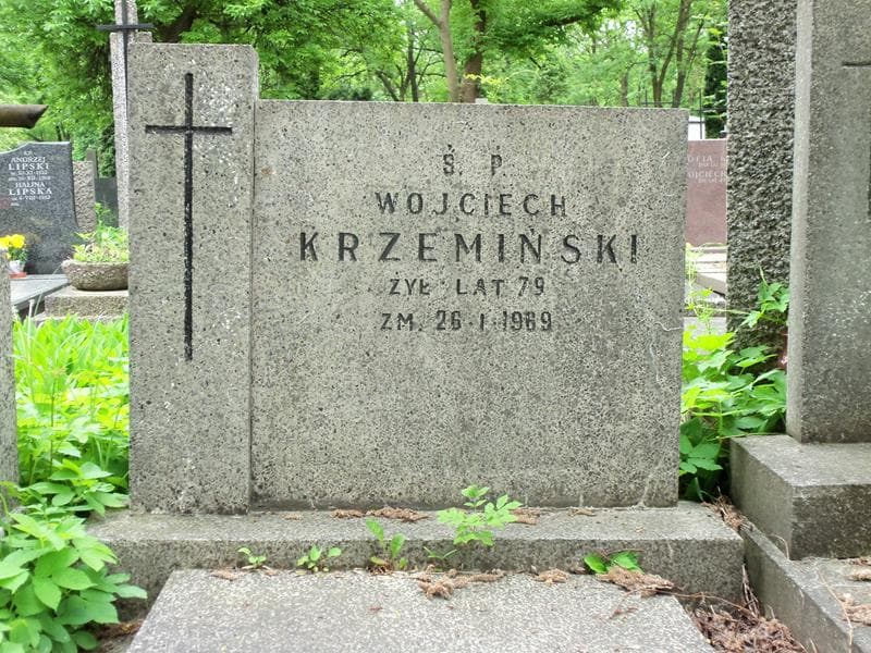Zdjęcie grobu Wojciech Krzemiński (2)