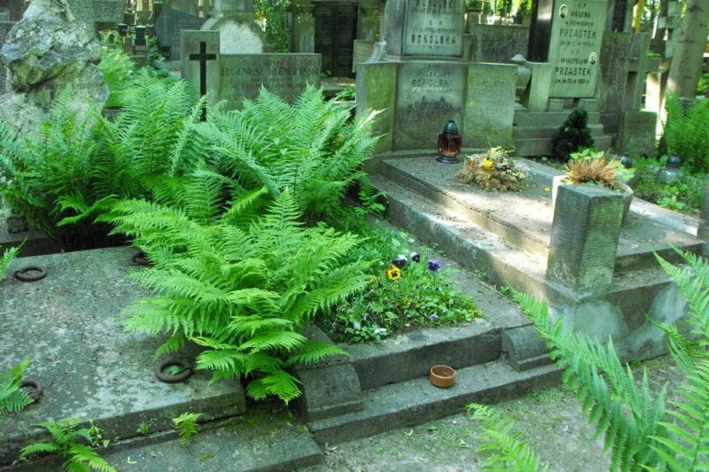 Zdjęcie grobu Zofia Klemczyńska (2)