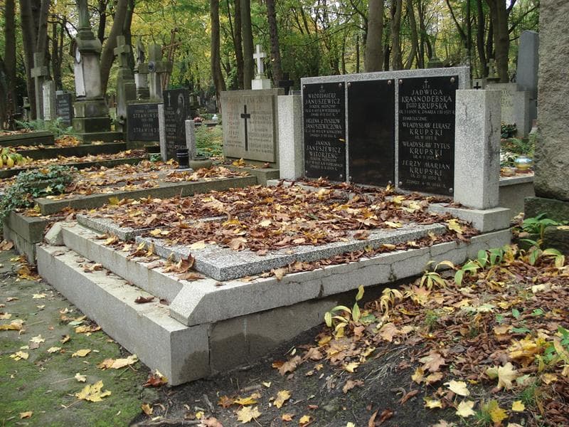 Zdjęcie grobu Włodzimierz Januszewicz (1)