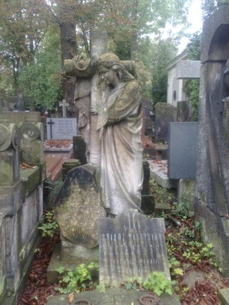 Zdjęcie grobu Eugenjusz Lewenstern (1)