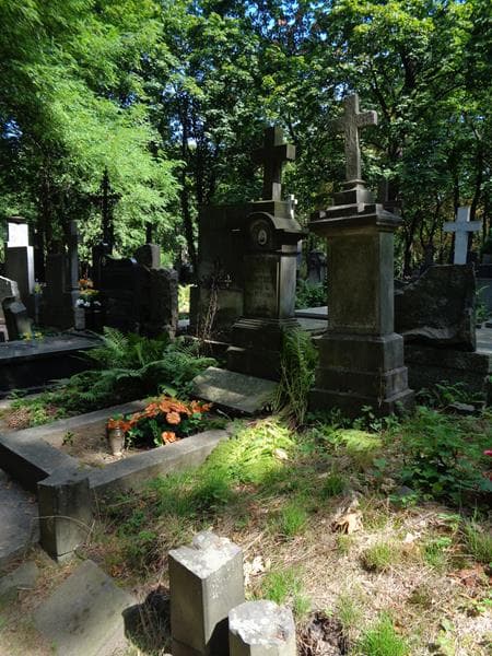 Zdjęcie grobu: Ignacy Dworzyński