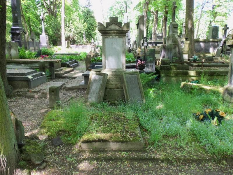 Zdjęcie grobu: Anna Brodowicz