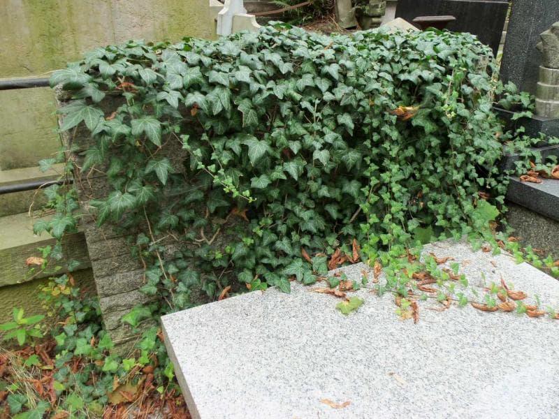 Zdjęcie grobu Stanisław Marczak - Oborski (2)
