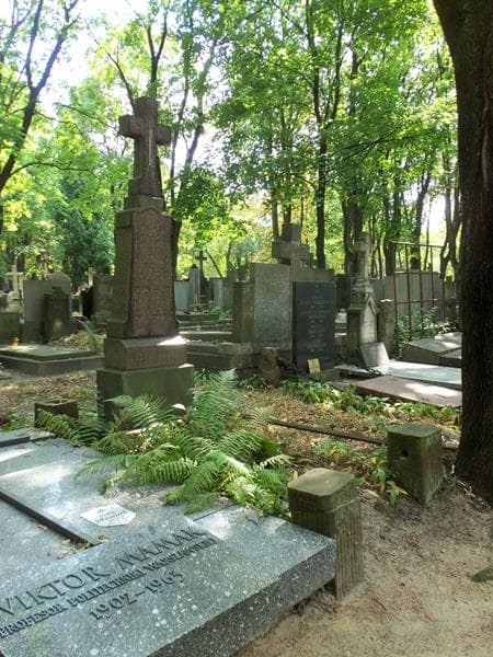 Zdjęcie grobu: Wojciech Iwański