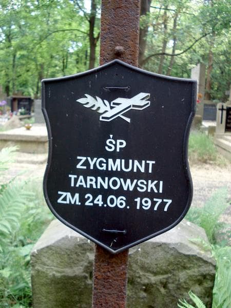 Zdjęcie grobu Zygmunt Tarnowska (2)