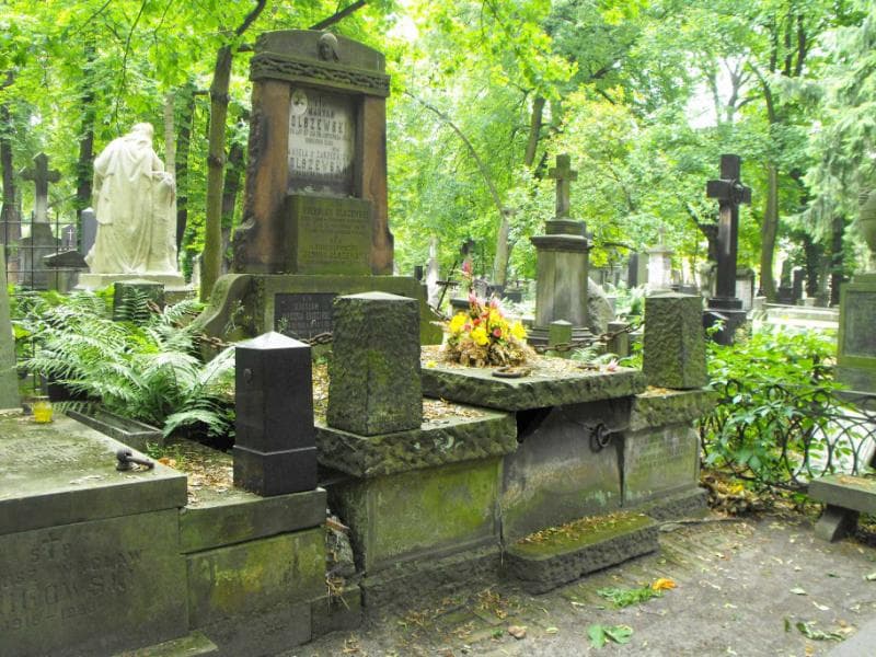 Zdjęcie grobu Stanisław Olszewski (1)