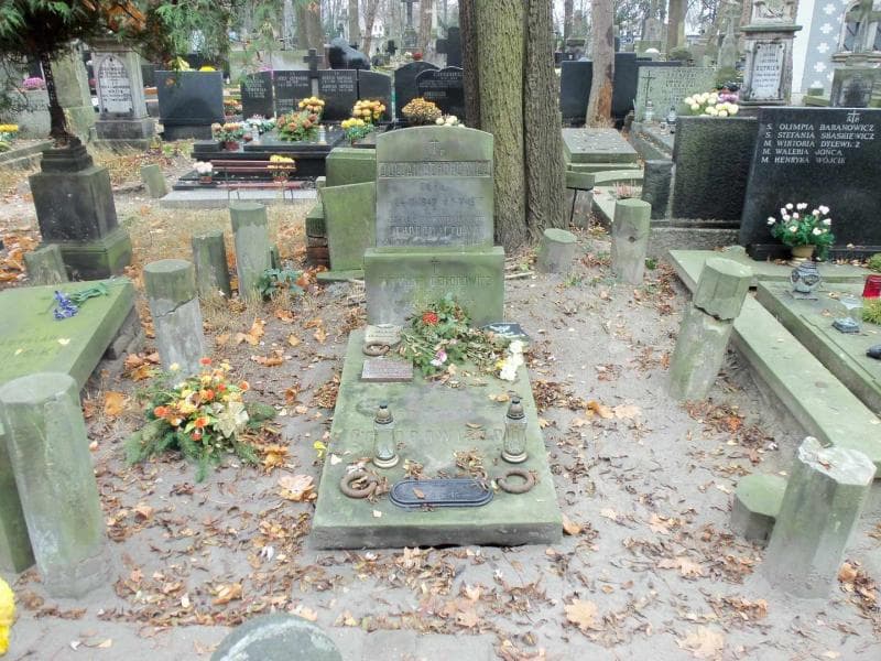 Zdjęcie grobu: Zygmunt Ochorowicz