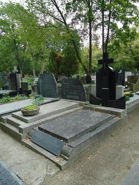 Zdjęcie grobu Tadeusz Adalbert Podziemski (1)