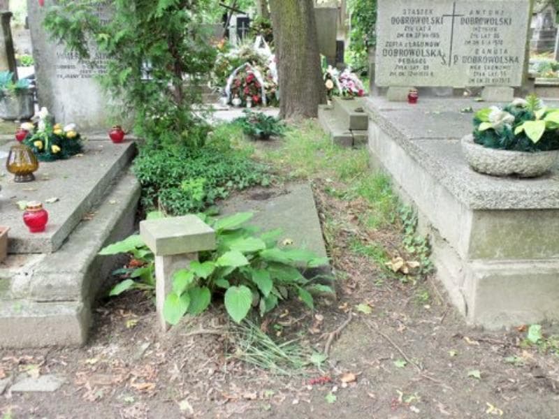 Zdjęcie grobu: Edward Piotrowski