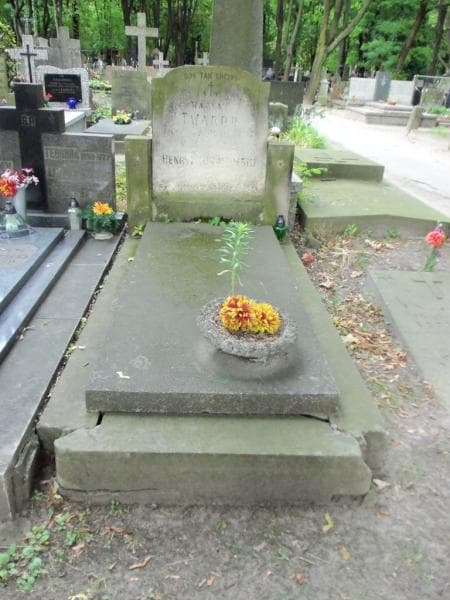 Zdjęcie grobu Henryk ... (1)
