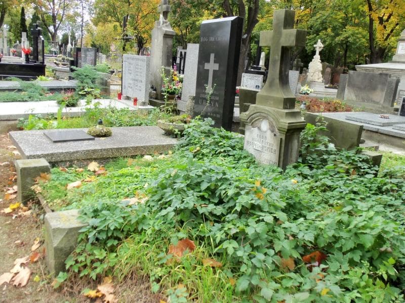 Zdjęcie grobu Adolf Warpechowski (1)