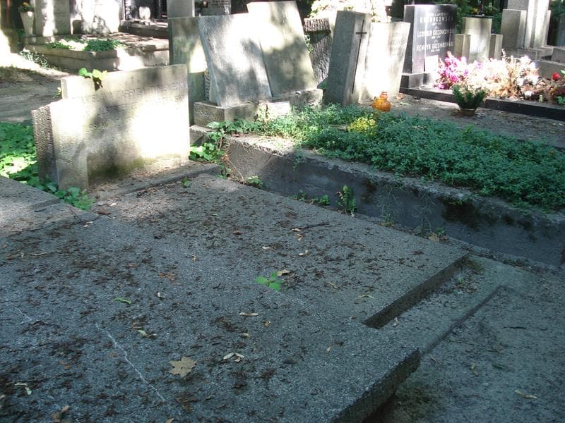 Zdjęcie grobu: Jan Jastrzębiec-Zakrzewski