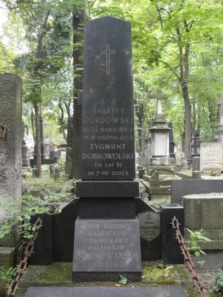 Zdjęcie grobu Zygmunt Dobrowolski (2)
