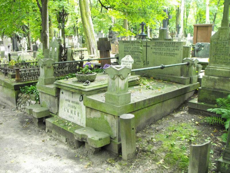 Zdjęcie grobu Józef Lange (1)