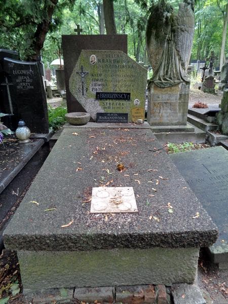 Zdjęcie grobu Edward Brodziński (1)